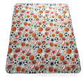 Wholesale Price Warm and Comfortable Fleece Polar Blanket Baby Fleece Plush Blanket